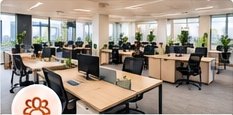 Workspaces for Startups and Small Teams Noida